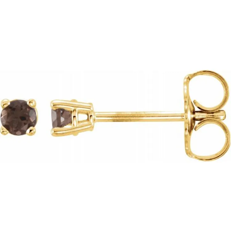 14K Yellow 2.5 mm Natural Smoky Quartz Stud Earrings with Friction Post