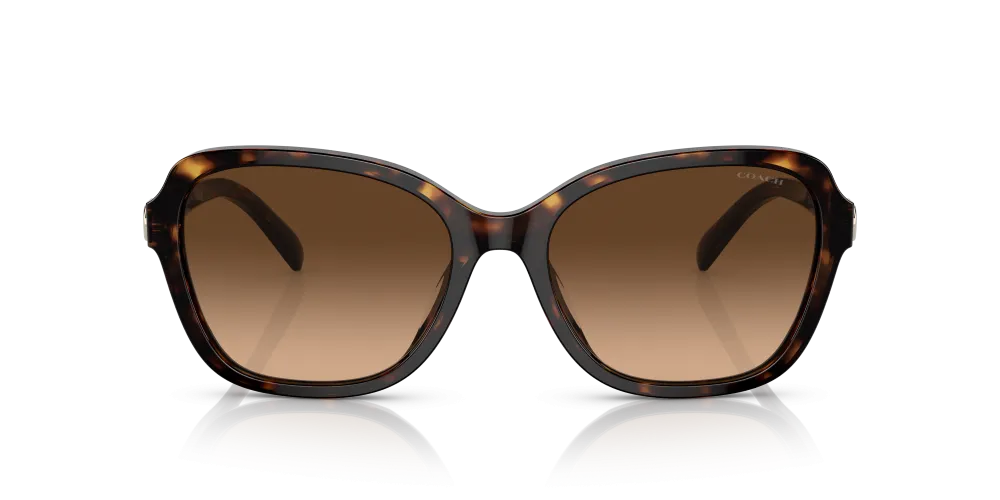 Coach Irregular Non-Polarized Sunglasses - Dark Tortoise/Brown Gradient