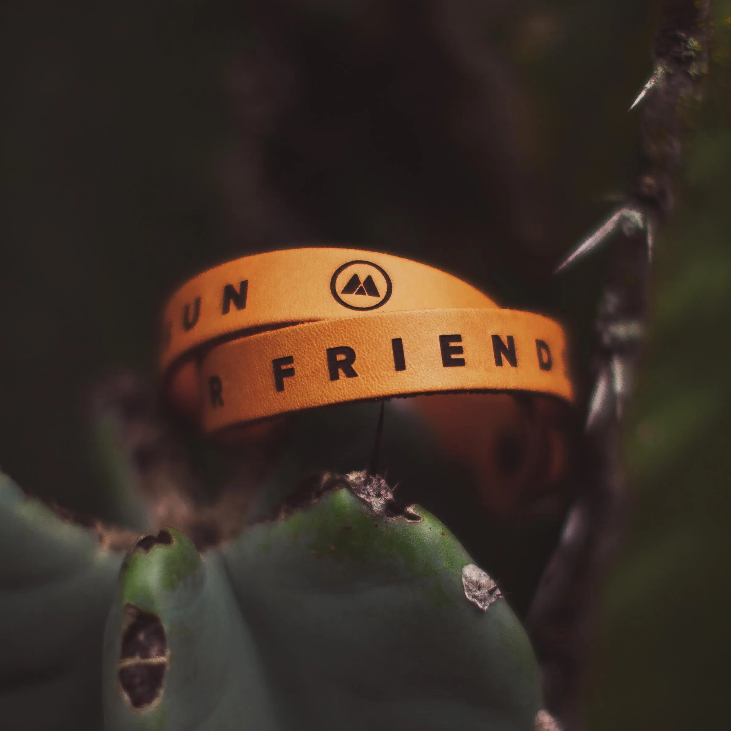 Friends Like The Sun Leather Bracelet